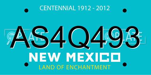 AS4Q493 New Mexico License Plate
