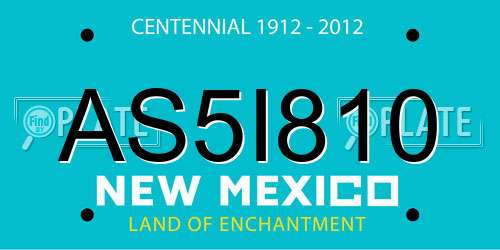 AS5I810 New Mexico License Plate