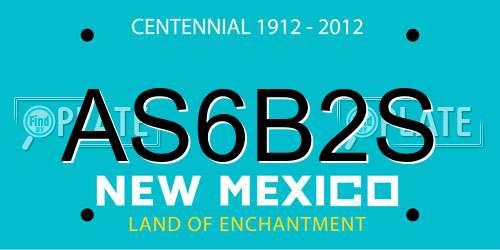 AS6B2S New Mexico License Plate