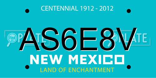 AS6E8V New Mexico License Plate