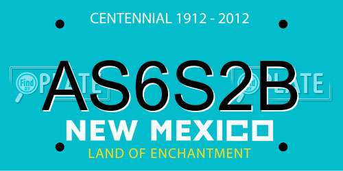 AS6S2B New Mexico License Plate