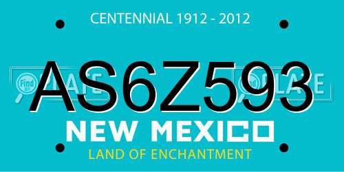 AS6Z593 New Mexico License Plate