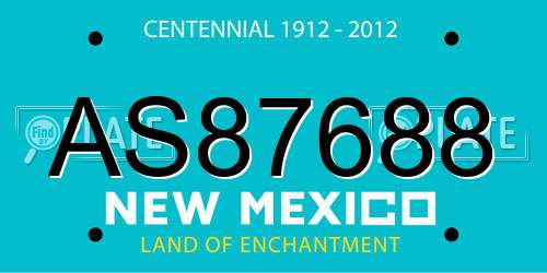AS87688 New Mexico License Plate