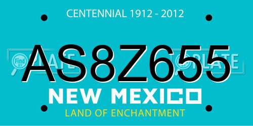 AS8Z655 New Mexico License Plate