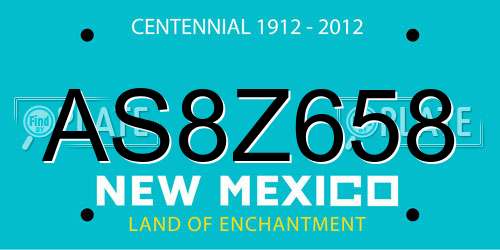 AS8Z658 New Mexico License Plate
