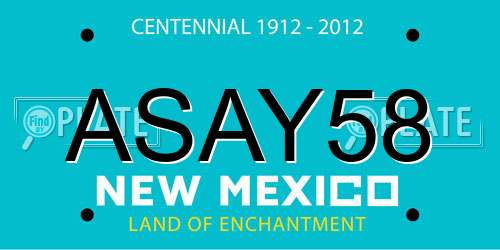 ASAY58 New Mexico License Plate