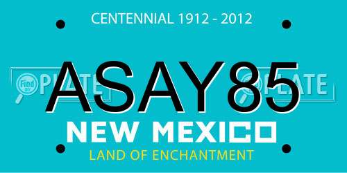ASAY85 New Mexico License Plate