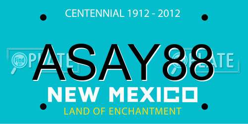 ASAY88 New Mexico License Plate