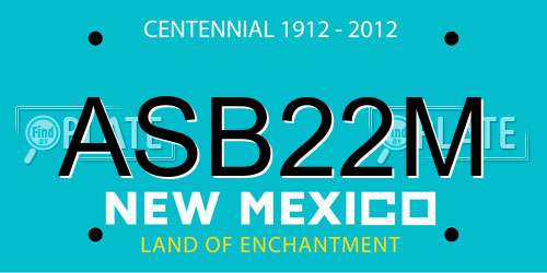 ASB22M New Mexico License Plate