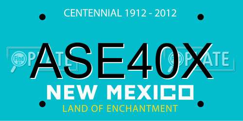 ASE40X New Mexico License Plate