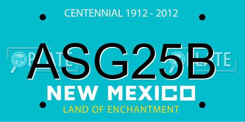 ASG25B New Mexico License Plate