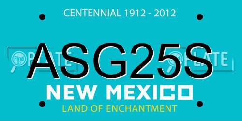 ASG25S New Mexico License Plate
