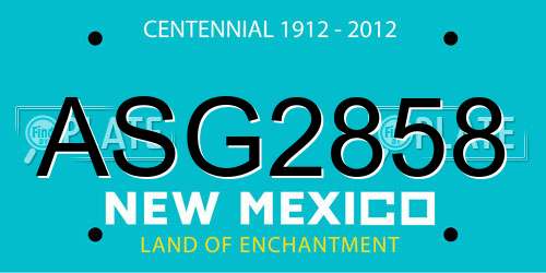 ASG2858 New Mexico License Plate