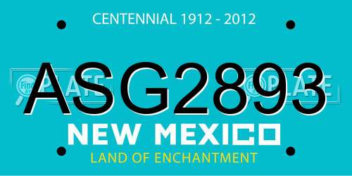 ASG2893 New Mexico License Plate