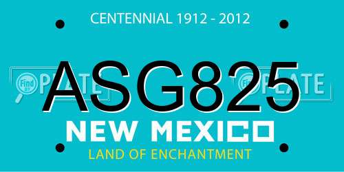 ASG825 New Mexico License Plate