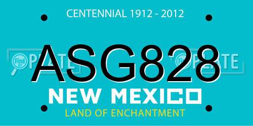 ASG828 New Mexico License Plate