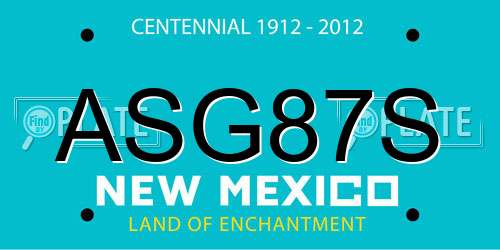 ASG87S New Mexico License Plate