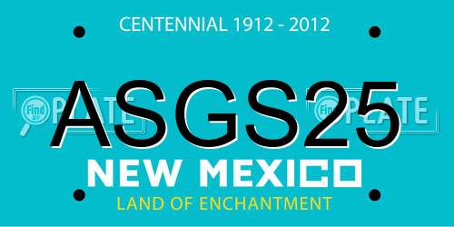 ASGS25 New Mexico License Plate