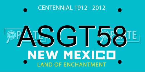 ASGT58 New Mexico License Plate