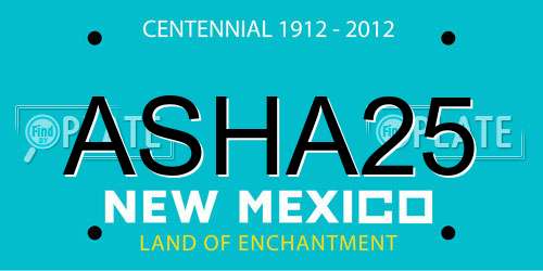 ASHA25 New Mexico License Plate
