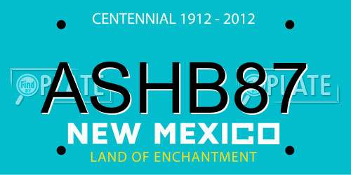 ASHB87 New Mexico License Plate