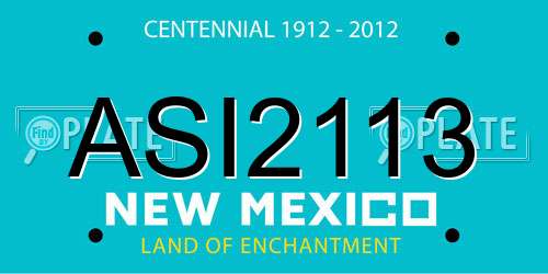 ASI2113 New Mexico License Plate