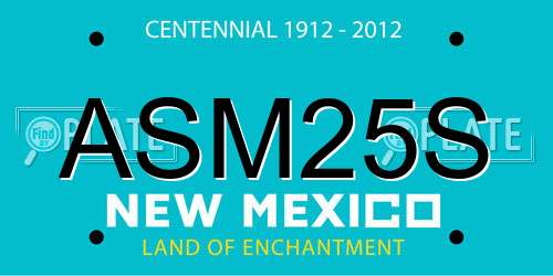 ASM25S New Mexico License Plate