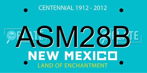 ASM28B New Mexico License Plate