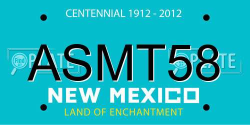 ASMT58 New Mexico License Plate