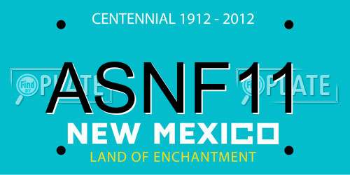 ASNF11 New Mexico License Plate