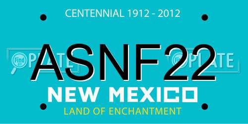 ASNF22 New Mexico License Plate