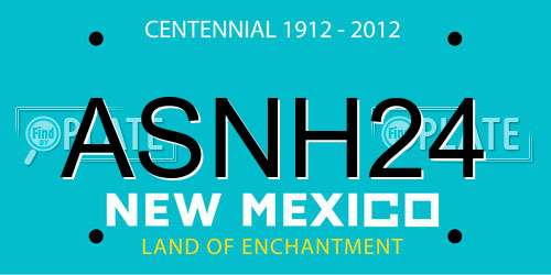 ASNH24 New Mexico License Plate