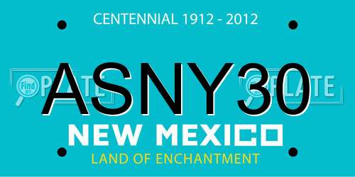 ASNY30 New Mexico License Plate