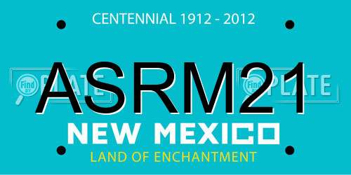 ASRM21 New Mexico License Plate