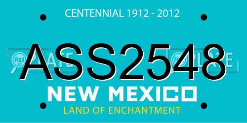 ASS2548 New Mexico License Plate