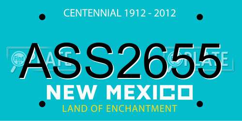 ASS2655 New Mexico License Plate