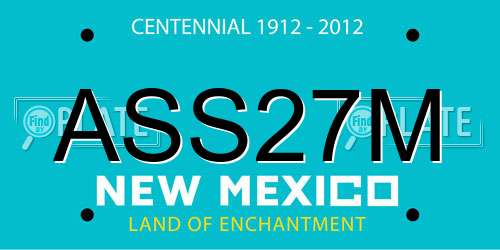 ASS27M New Mexico License Plate
