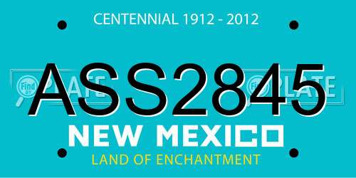 ASS2845 New Mexico License Plate