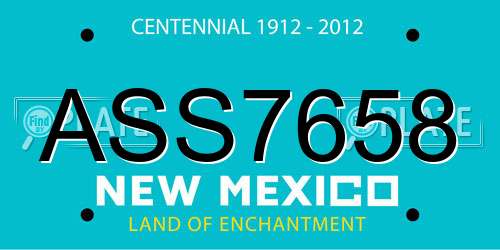ASS7658 New Mexico License Plate