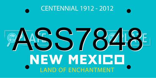 ASS7848 New Mexico License Plate