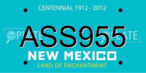 ASS955 New Mexico License Plate