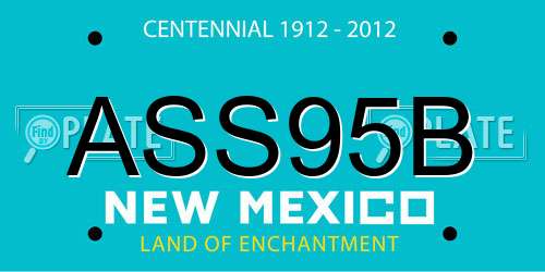 ASS95B New Mexico License Plate