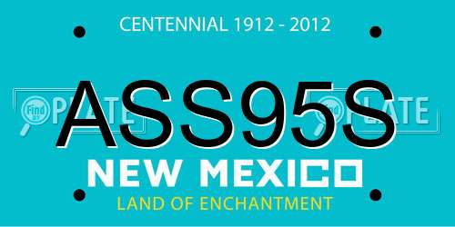 ASS95S New Mexico License Plate