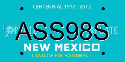 ASS98S New Mexico License Plate
