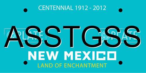 ASSTGSS New Mexico License Plate