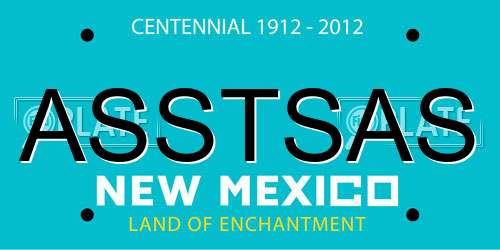 ASSTSAS New Mexico License Plate