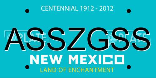 ASSZGSS New Mexico License Plate