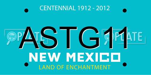 ASTG11 New Mexico License Plate