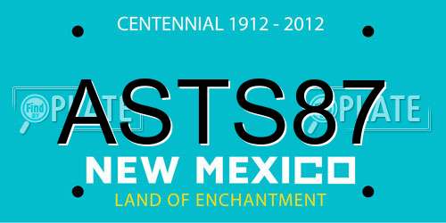 ASTS87 New Mexico License Plate