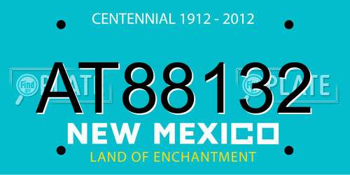 AT88132 New Mexico License Plate